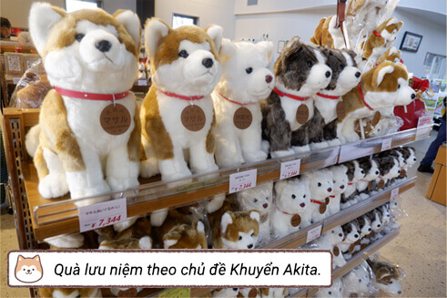 Quà lưu niệm theo chủ đề Khuyển Akita.